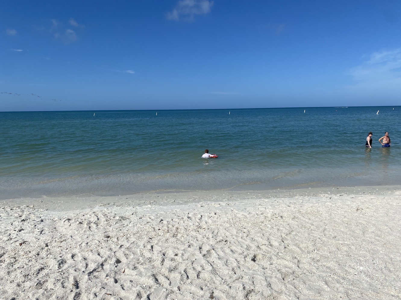 Bonita Beach
      is a fun, relaxing beach, after you get a parking place.