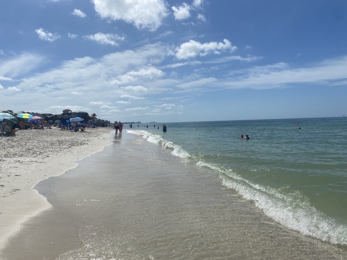 Bonita Beach
      Park is great for shelling.