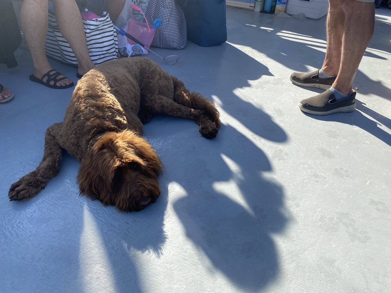 Cap'n Jack is
      taking a rest before setting sail into the Gulf.