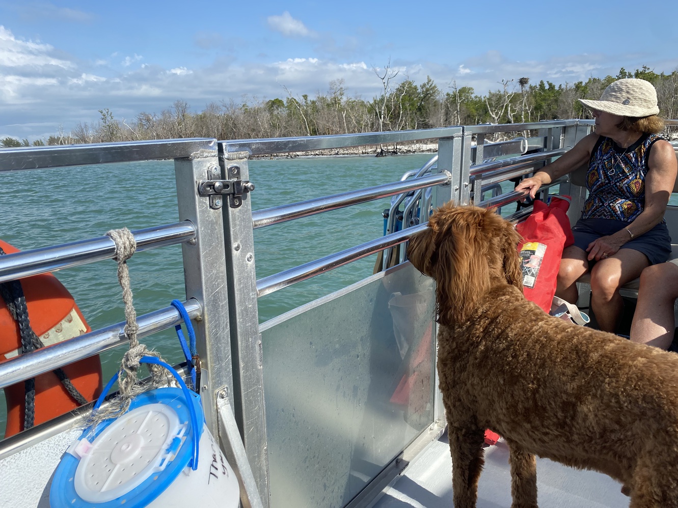 Captain Jack
      helps the passengers watch for dolphins.