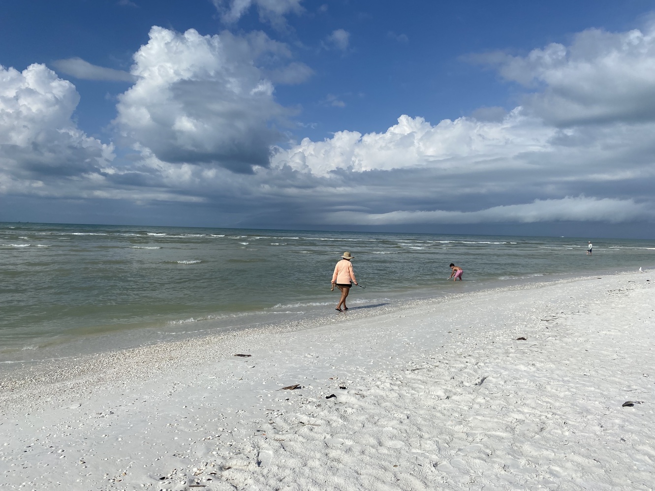 A lady walks
      northward on Keewaydin Island, in search of shells.