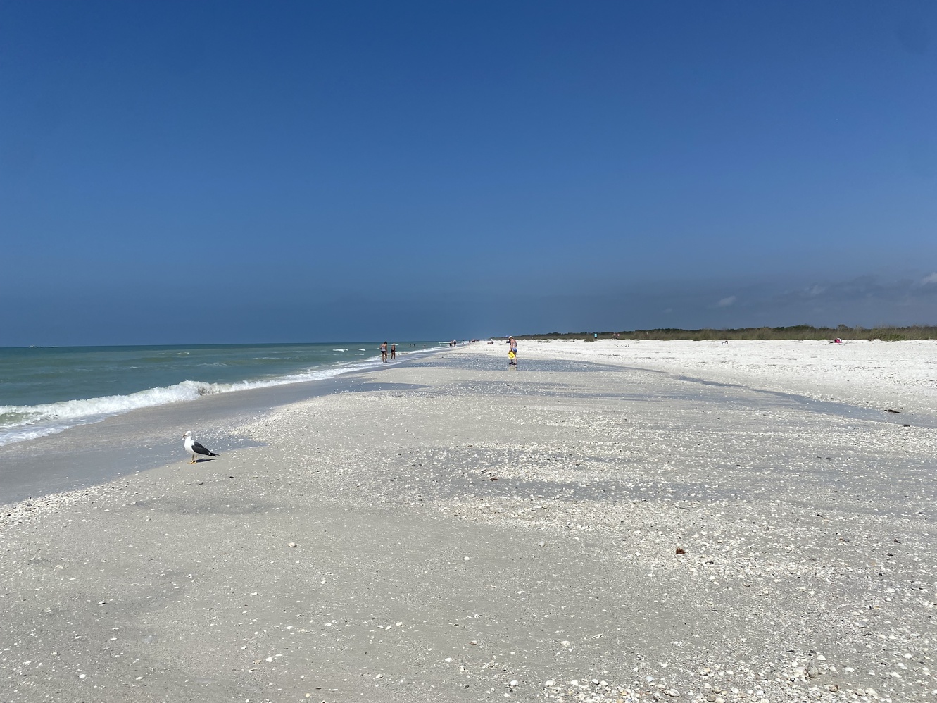 Looking northward
      reveals an abundance of sandbars.