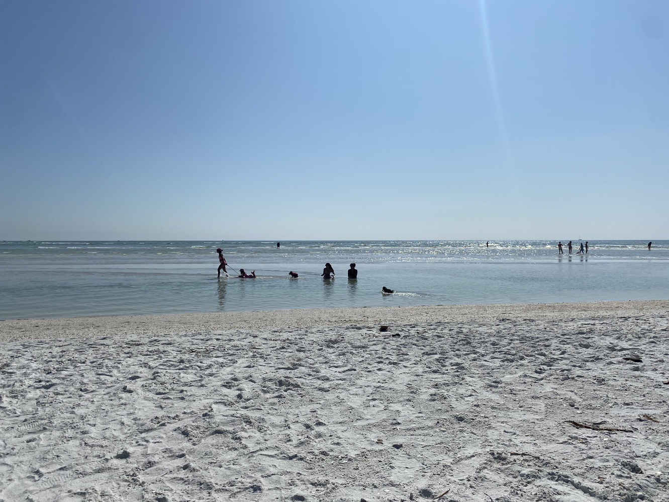 The tide has gone
      out, leaving very shallow water and sandbars.