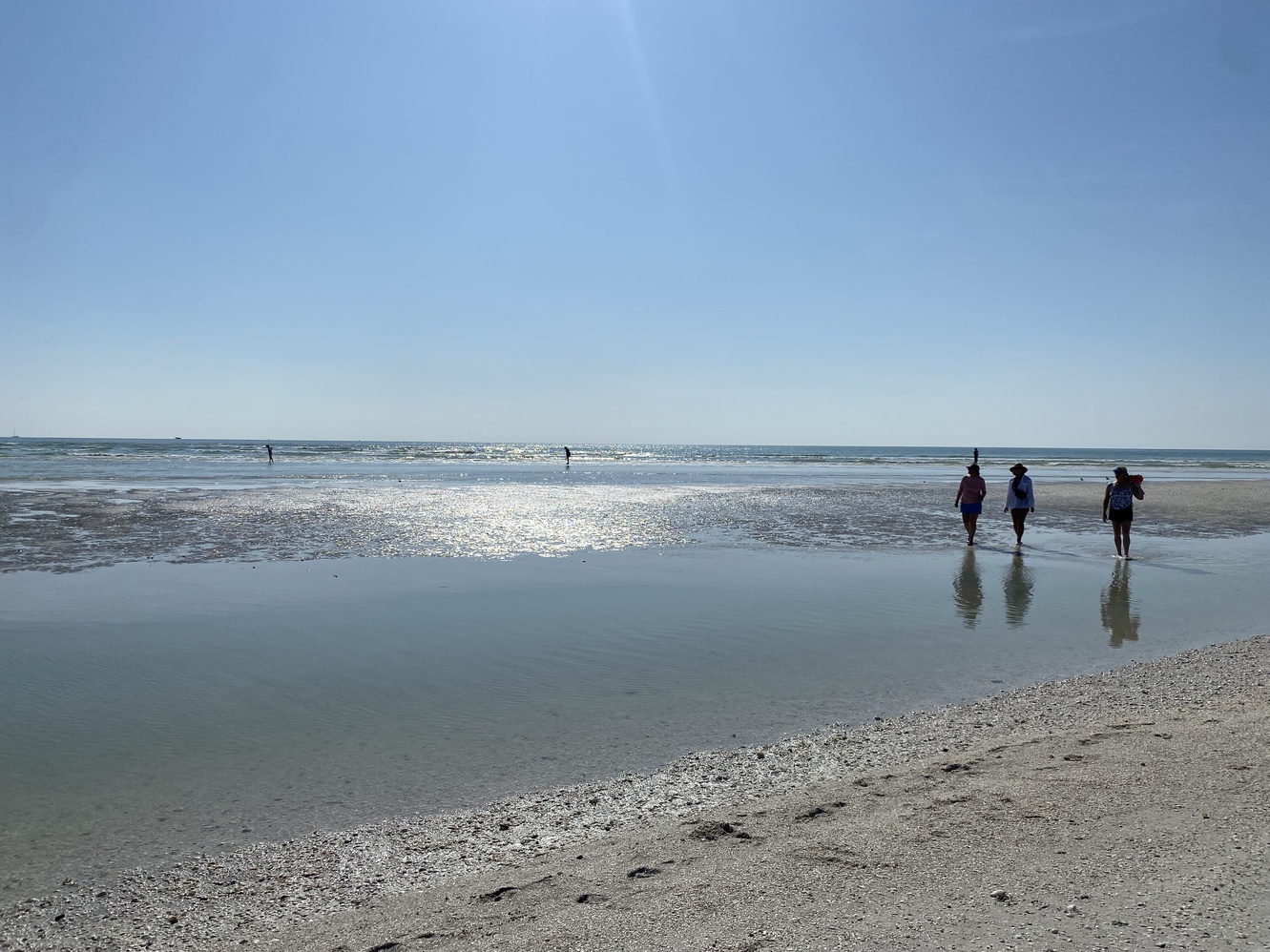 The sandbars are
      getting bigger, and tide pools are forming.