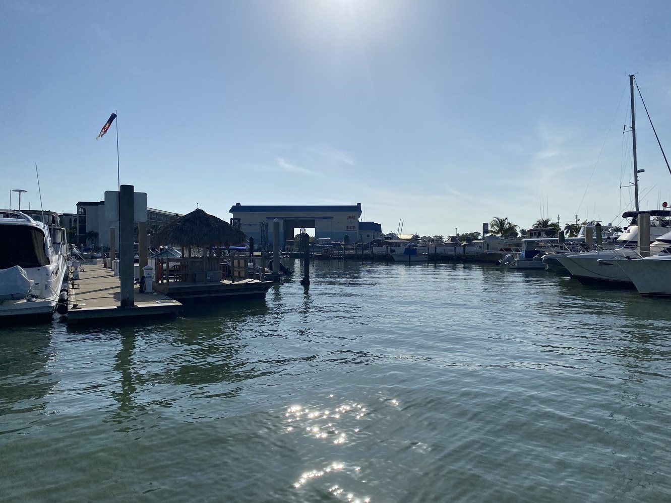 Rose Marina sees
      a lot of boat traffic in both the morning and the evening.